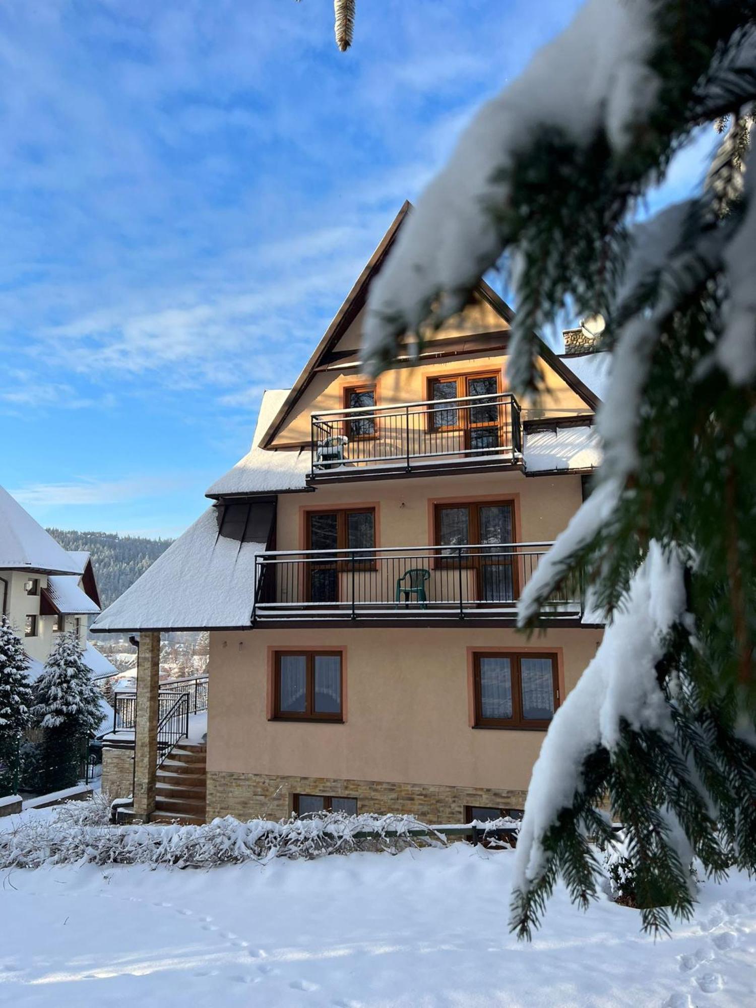 Willa Pasja Zakopane Exteriör bild
