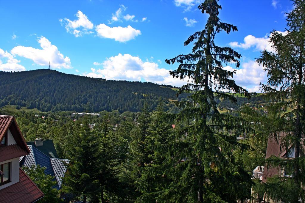 Willa Pasja Zakopane Exteriör bild